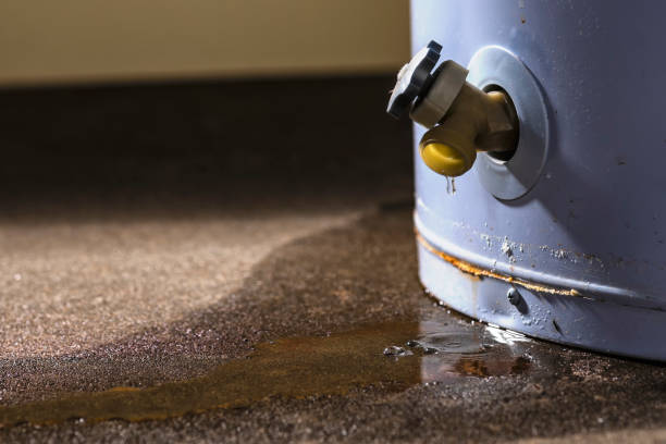 Best Water damage restoration company  in Clinton, MS