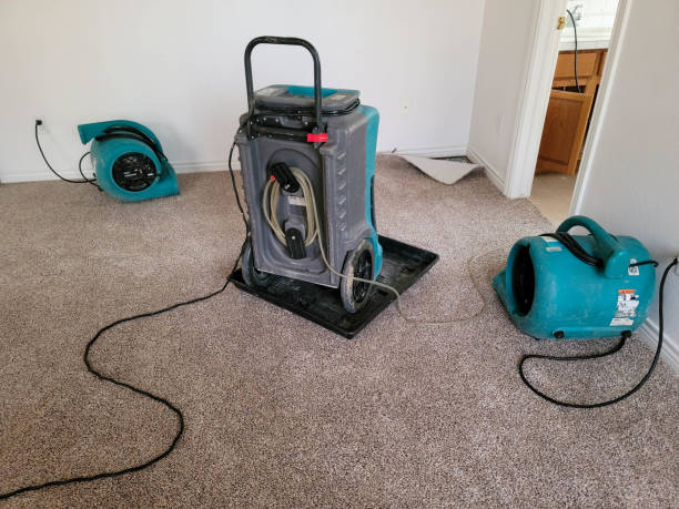 Best Fire Damage Restoration  in Clinton, MS