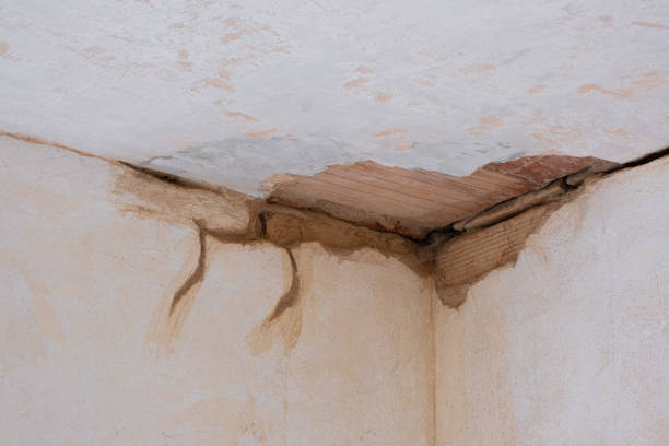 Best Water damage restoration near me  in Clinton, MS