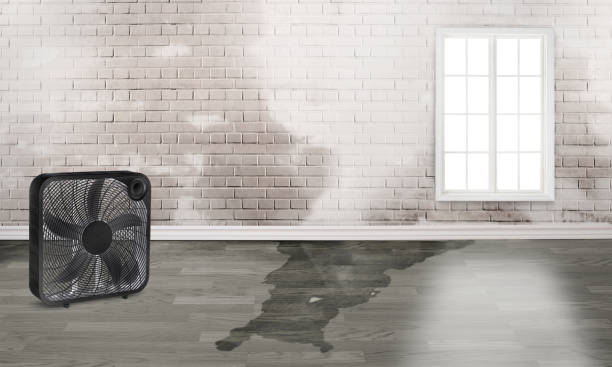 Best Water damage contractors near me  in Clinton, MS