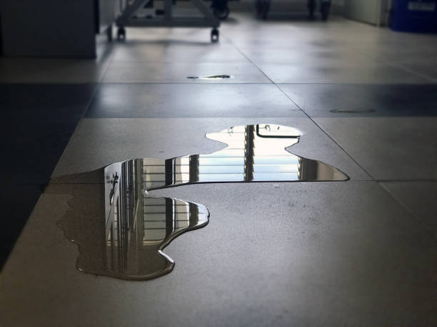 Best Professional water damage repair  in Clinton, MS