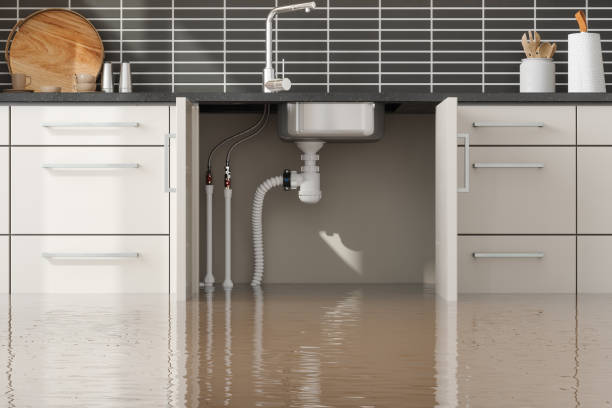 Best Mold removal after water damage  in Clinton, MS