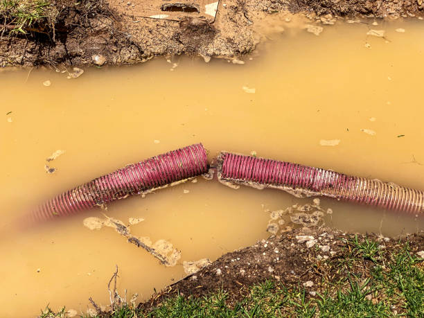 Best Flood damage cleanup  in Clinton, MS