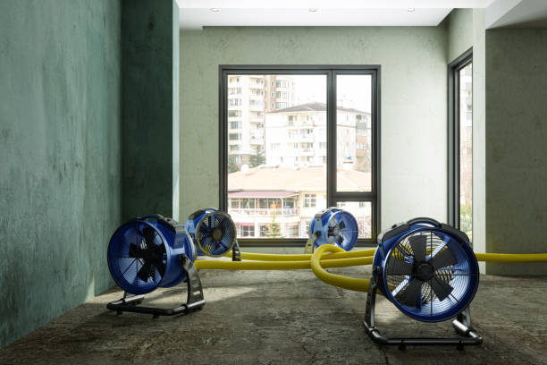 Best Carpet water damage restoration  in Clinton, MS